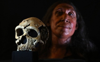 الصورة: دُفنت في دولة عربية قبل 75 ألف سنة.. علماء يكشفون شكل امرأة النياندرتال