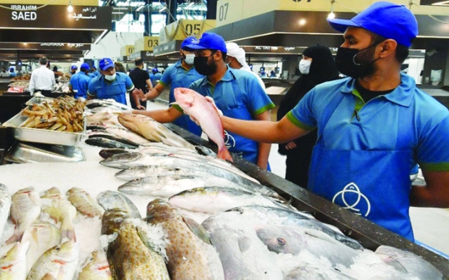 الصورة: 1571 طن أسماك حصيلة الصيد والاستزراع في أبوظبي