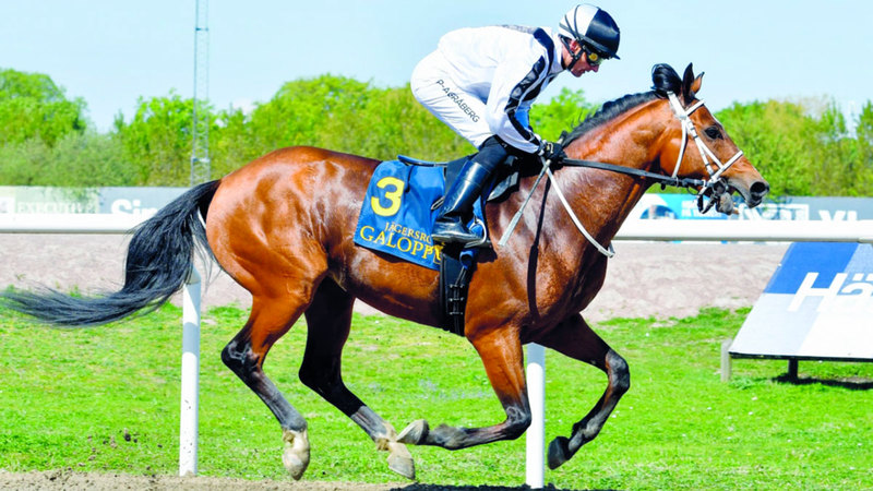 فاز الجواد «وسمي الخالدية» لإسطبلات الخالدية البولندية، بقيادة بيير أندرياس، بسباق كأس الوثبة ستاليونز للتكافؤ لمسافة 1730 متراً، الذي أقيم أول من أمس، بمضمار جاركسروه بمملكة السويد.