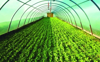 الصورة: «أبوظبي للزراعة» تستعرض جهودها لضمان استدامة القطاع