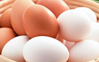 الصورة: البيض البني والأبيض.. أيهما أكثر صحة