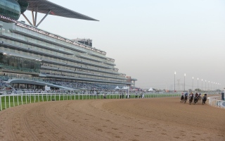 الصورة: "دبي لسباق الخيل" يؤكد مضاعفة الجهود لتحقيق رؤية محمد بن راشد في السباقات