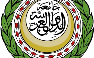 الصورة: نبيل فهمي: لا نقبل استهداف أراض ومنشآت عربية