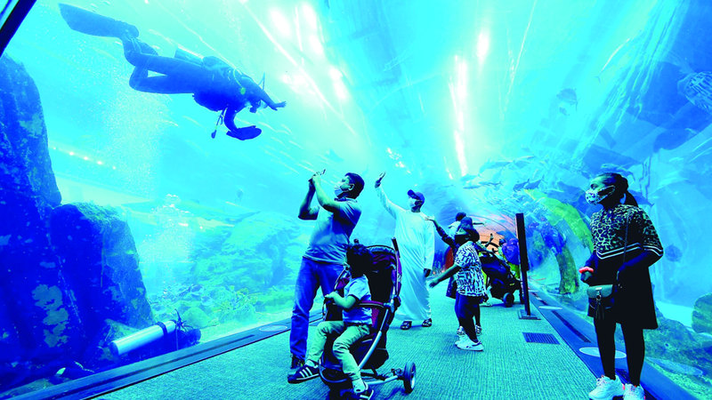 لافتات للتوعية بأثر المخلفات البلاستيكية على الحياة البحرية يرفعها غواصون في «دبي أكواريوم». الإمارات اليوم