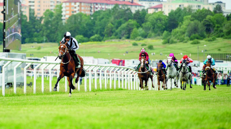 حصد الجواد «وسمي الخالدية» كأس المغفور له الشيخ زايد بن سلطان آل نهيان، طيّب الله ثراه، بمضمار برو بارك في السويد، فيما توّج «إيشان دو بوزلس» بطلاً لـ«كأس سمو الشيخة فاطمة بنت مبارك» على مضمار سان سيباستيان في إسبانيا، وكلا السباقين للخيول العربية الأصيلة.
