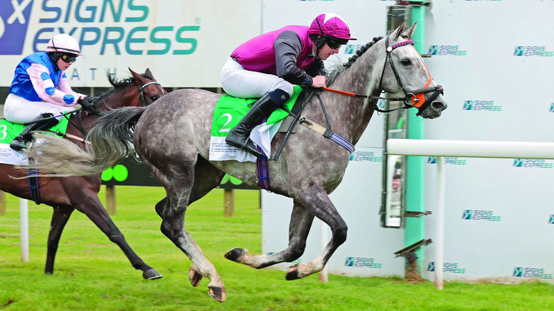 يستضيف مضمار شيستر في العاصمة الإنجليزية لندن، اليوم، فعاليات كأس الوثبة ستاليونز لمسافة 1500 متر، المخصص للخيول العربية الأصيلة في سن ثلاث سنوات فما فوق (تكافؤ)، تصنيف صفر إلى 70، تحت مظلة النسخة 16 من مهرجان سباقات سمو الشيخ منصور بن زايد آل نهيان.