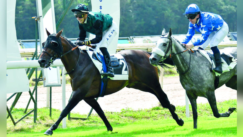 يستضيف مضمار «سان سباستيان» في العاصمة الإسبانية مدريد، اليوم، سباق كأس زايد للخيول العربية الأصيلة، فيما يشهد مضمار مدينة ليفورنو كابريللي الإيطالي سباق كأس «الوثبة ستاليونز».