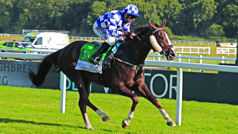 حلقت المهرة «أميرة الزمان» للنجيفي ريسنج المحدودة، بإشراف جيمس أوين وقيادة ماركو غياني، بلقب سباق كأس الوثبة ستاليونز لمسافة 2000 متر، أمس، على مضمار نيوبري العريق في المملكة المتحدة، برعاية النسخة الـ16 من مهرجان «سباقات سمو الشيخ منصور بن زايد آل نهيان».