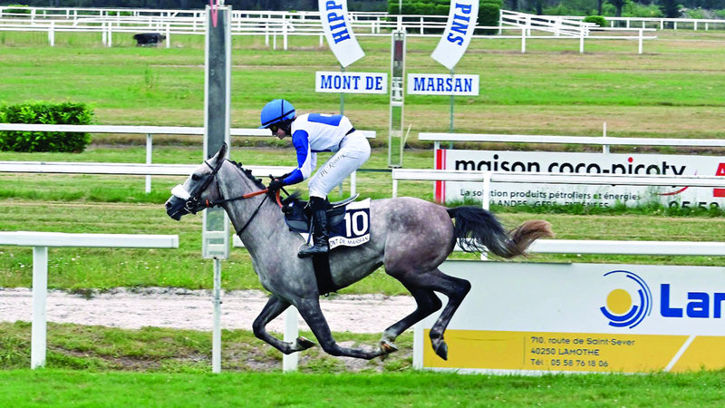 لمع بريق «شباب» و«المبهر»، بإشراف توماس فورسي، وقيادة الفارسة مارجوت روماري، حين توّجا بلقبي سباقي كأس الوثبة ستاليونز، أول من أمس، على مضمار ضاحية مونت دو مارسان في باريس، بمشاركة 23 خيلاً عربياً أصيلاً.