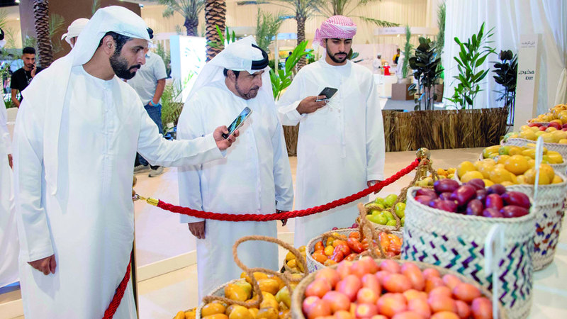 «دبي للرطب» حظي بمشاركة كبيرة. من المصدر
