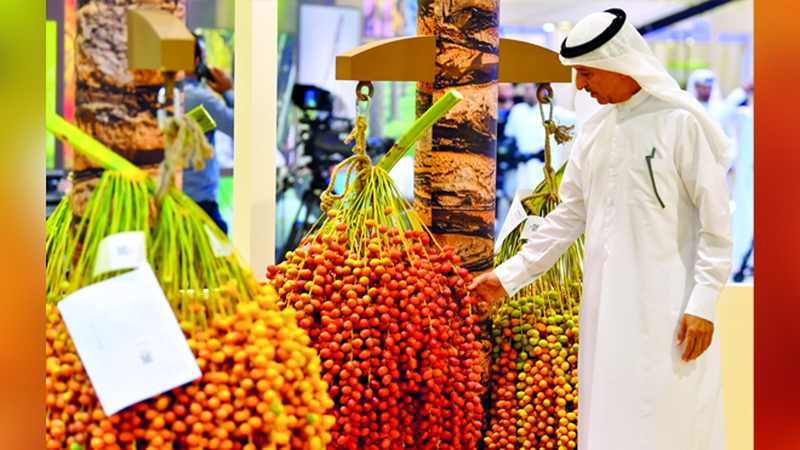 «دبي للرطب» أسهم في تسليط الضوء على أهمية النخلة في التراث الإماراتي. تصوير: باتريك كاستيلو