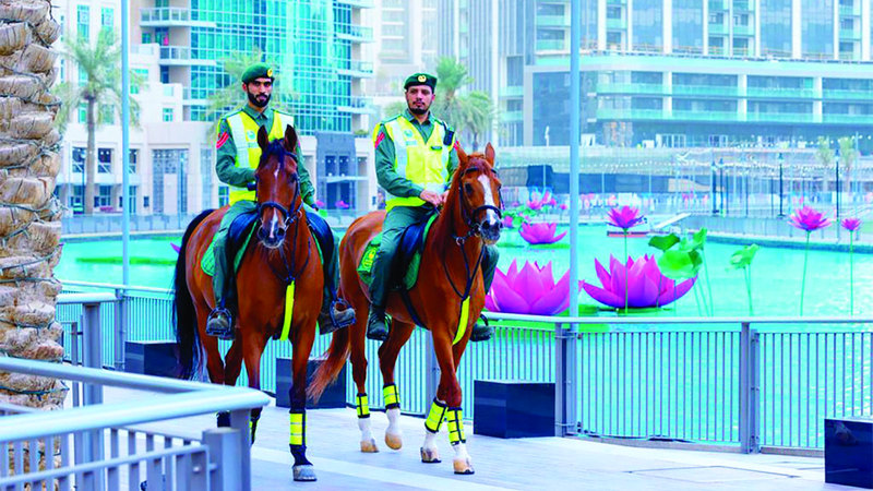 الخيالة تجوب الأماكن الضيقة التي لا تستطيع الدوريات الشرطية الوصول إليها. من المصدر