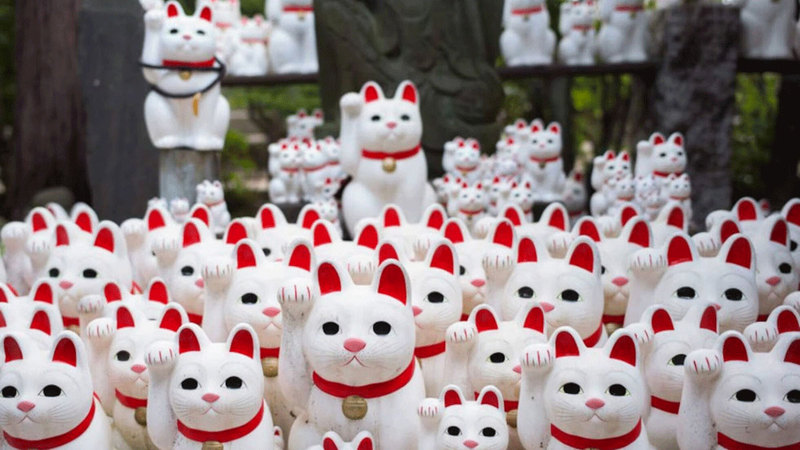 الدمية &laquo;هالو كيتي&raquo; تم تعيينها سفيرة خاصة للسنة الدولية للتنمية السياحية المستدامة. من المصدر