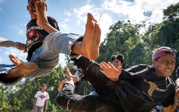 الصورة: ركلات  عنيفة فرحة بحصاد الأرز