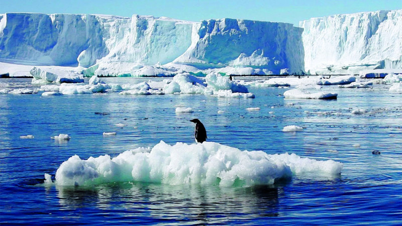 انخفاض كمية الجليد في القطبين يسهم بشكل كبير في تسريع ظاهرة الاحتباس الحراري العالمي. عن المصدر