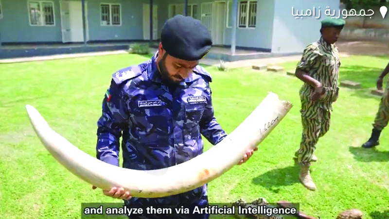 جانب من عملية &laquo;درع الغابة&raquo;. من المصدر