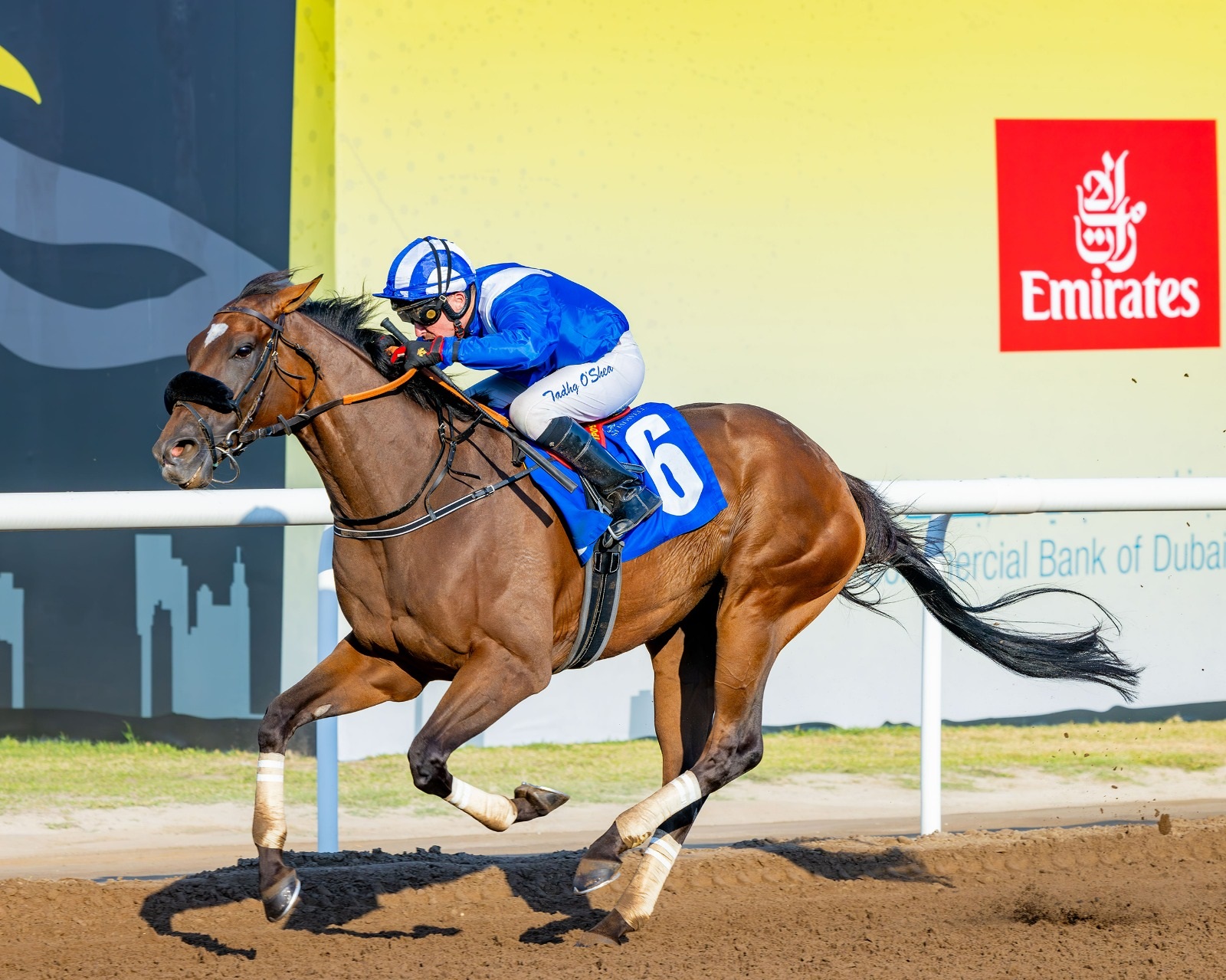 "لاسدود" بشعار "شادويل" بطلاً لـ "كأس عيد الاتحاد" في جبل علي