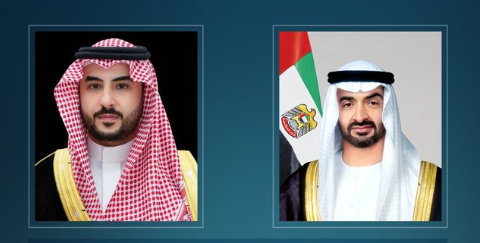 رئيس الدولة يستقبل خالد بن سلمان