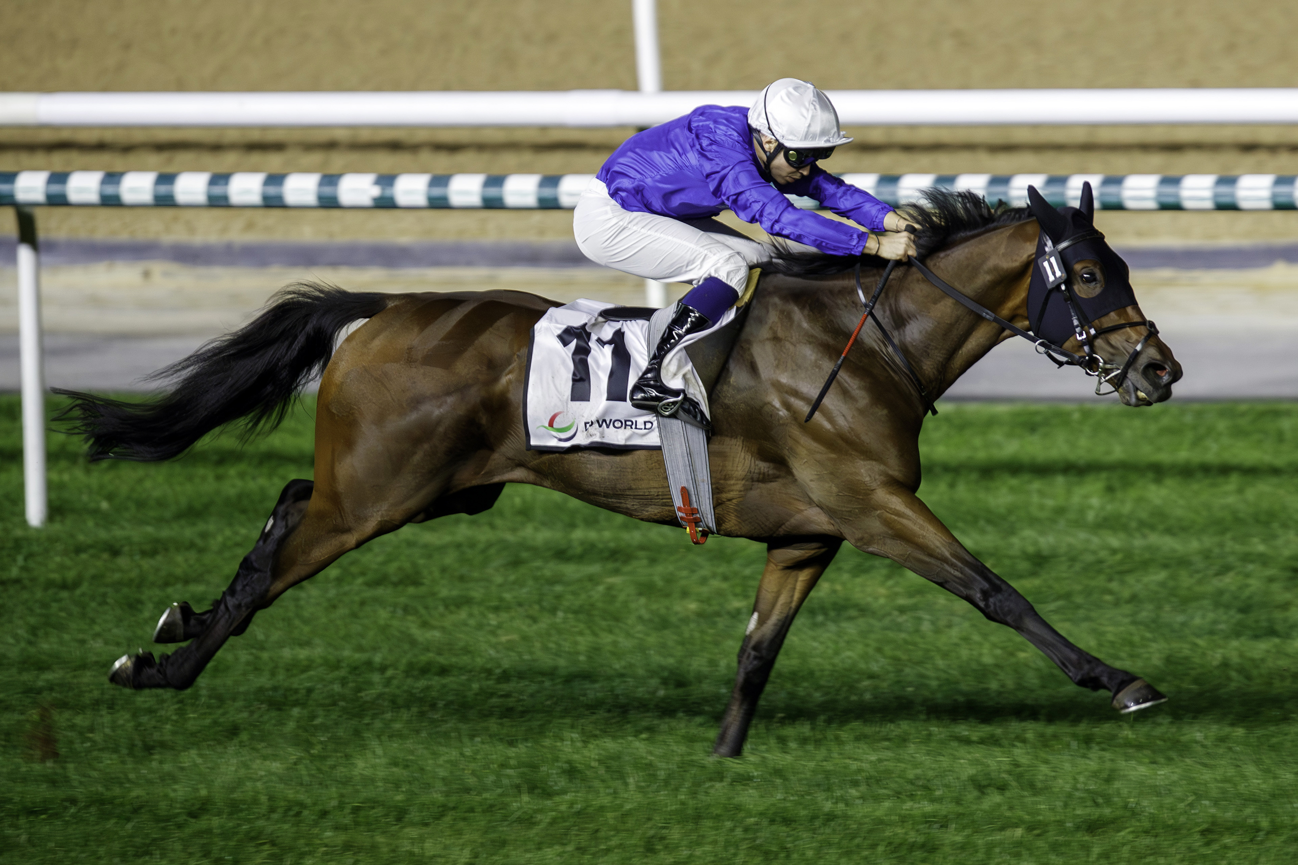 «فيرست كونكويست» بطل الشوط الرئيس في الأمسية السابعة لـ«كرنفال سباقات دبي»