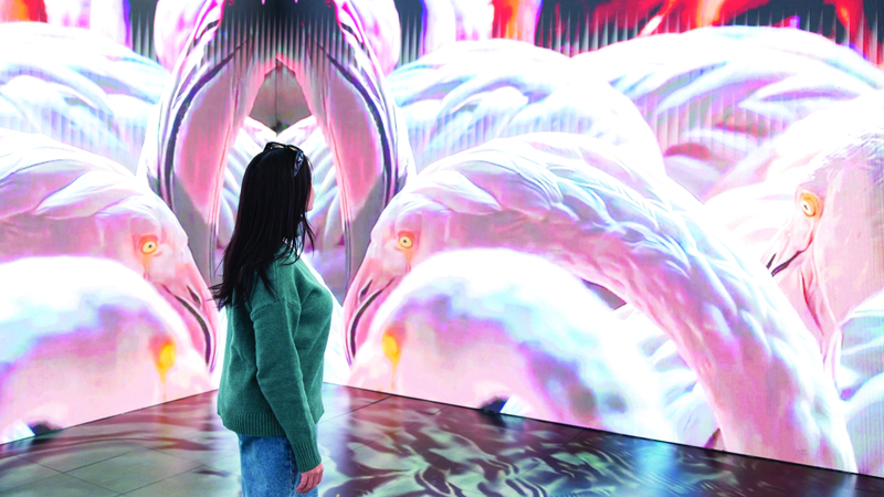 &laquo;منطقة التجربة التفاعلية الغامرة&raquo; تتيح للزوّار متابعة أعمال إبداعية رقمية. من المصدر