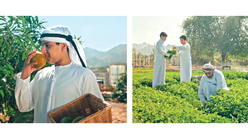 المهرجان يستهدف الارتقاء بقدرة المُزارع الإماراتي على تحقيق الاكتفاء الذاتي والاقتصادي. وام