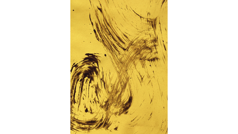 من أعمال الفنانة البرازيلية. وام