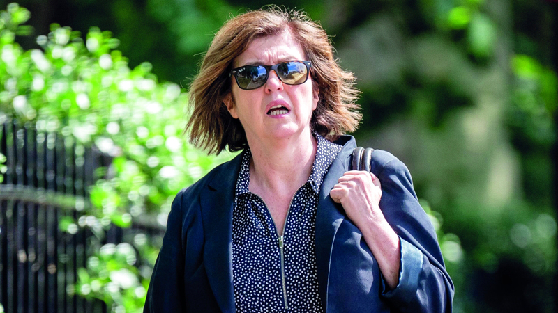 سو جراي عُزلت لمصلحة النائب العمالي بيتر ماندلسون. أرشيفية