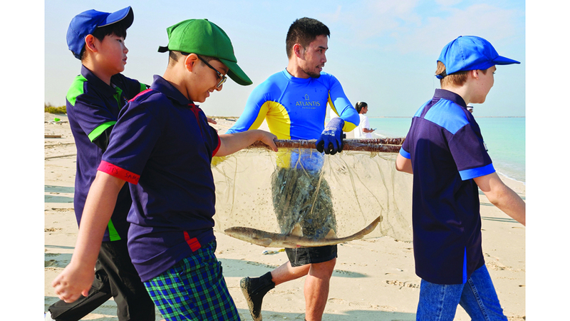 جانب من حملة إطلاق أسماك القرش وتنظيف الشاطئ. من المصدر