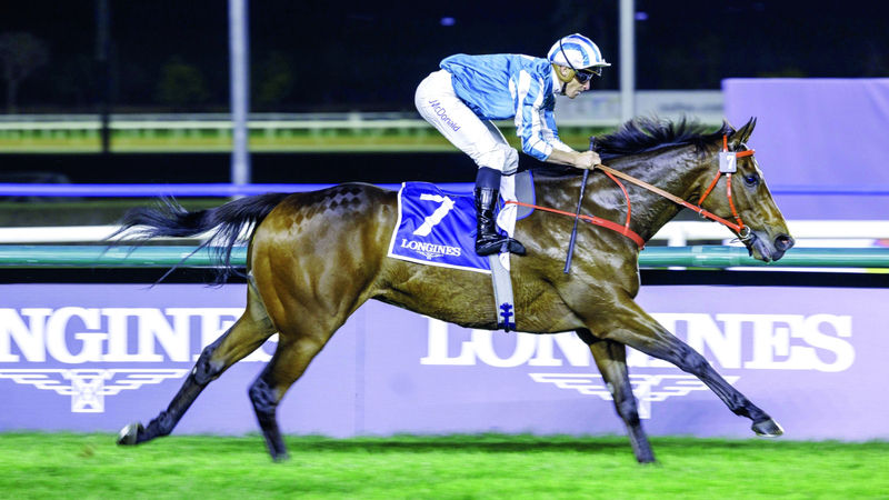 &laquo;رومانتيك وارير&raquo; ضمن أعلى 10 خيول تصنيفاً في 2024. من المصدر