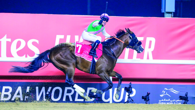 &laquo;لوريل ريفر&raquo; يشارك في كأس دبي العالمي. من المصدر