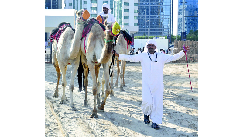 منطقة البرّ تستحضر الأجواء الصحراوية والتعرف إلى الرياضات والحِرَف التراثية. تصوير: إريك أرازاس