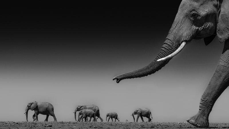 اتيب حسين - الهند