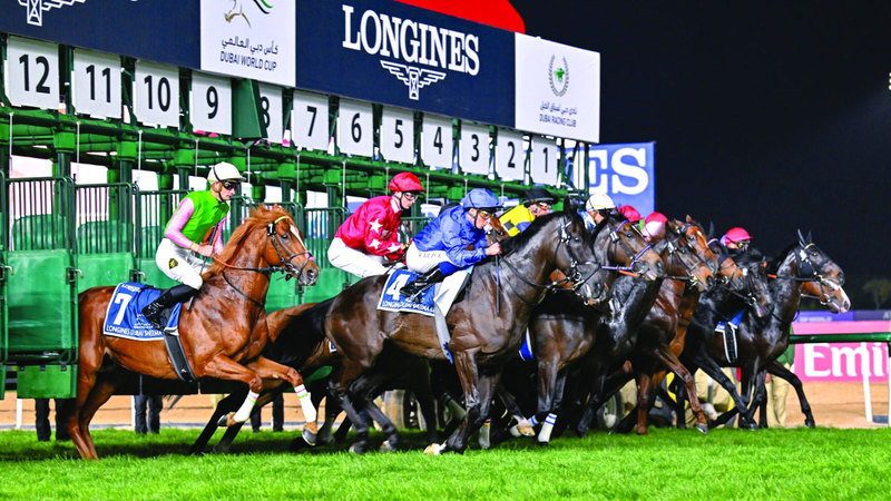 راشد بن دلموك: سلامة الخيول والفرسان والحضور على رأس أولوياتنا