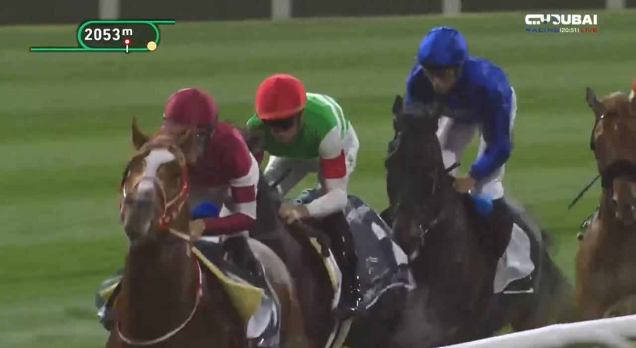 الجواد الياباني "دانون ديسايل" يفوز بشوط "لونجين دبي شيماء كلاسيك"