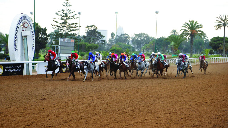 السباق يقام في مضمار الدار البيضاء «أنفا» الرملي. من المصدر