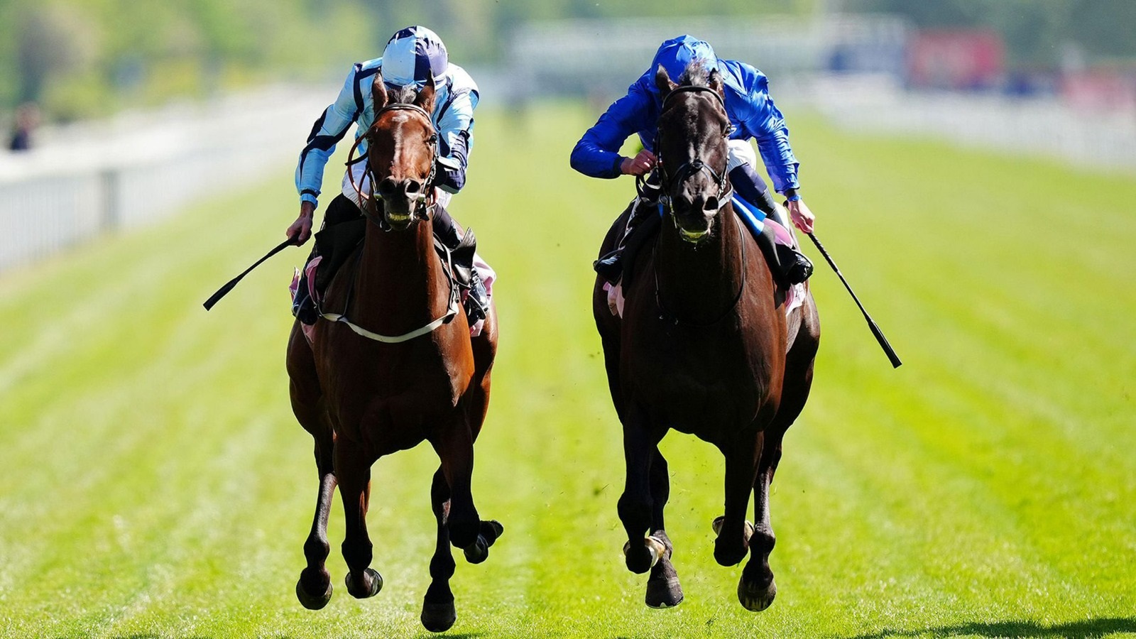 «ريبلز ورمانس» يهدي «غودولفين» الانتصار الخامس في سباق «يوركشاير كب» البريطاني