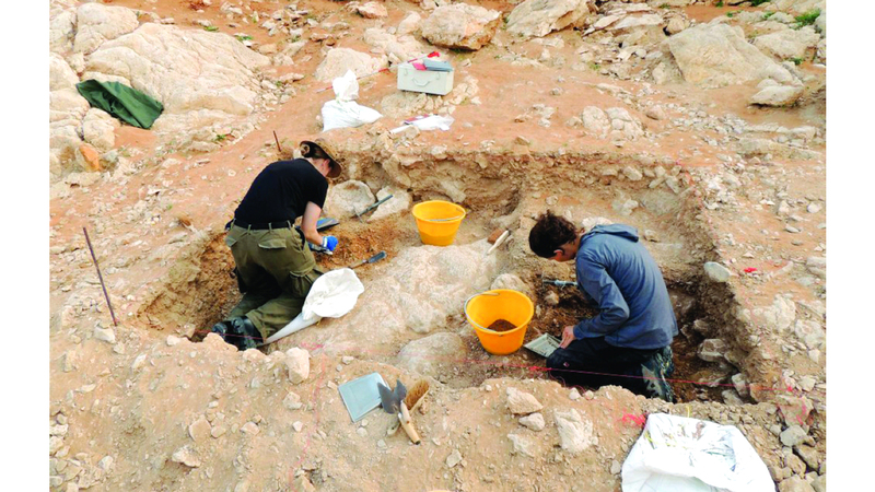 الاكتشافات تُظهر أن الفاية لم يكن ممراً عابراً للهجرات بل وجهة استيطان بشري. من المصدر