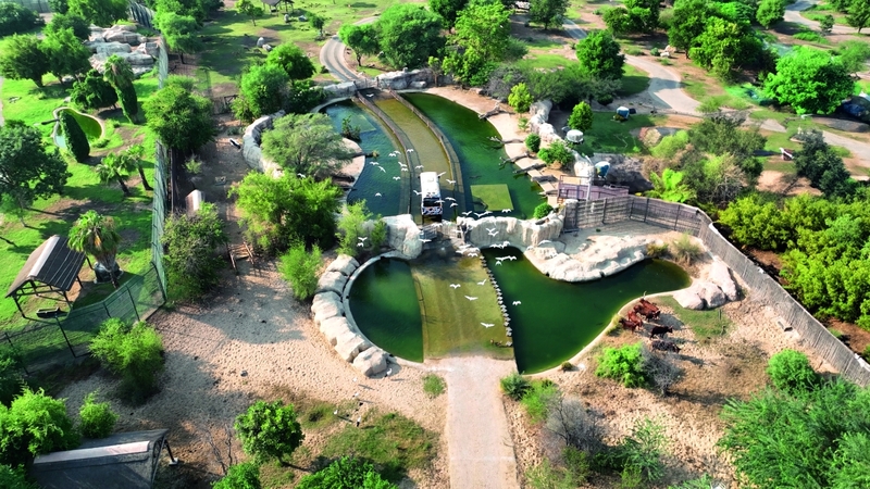 «دبي سفاري بارك» سجّل هذا الموسم أعلى معدل للزيارات منذ تأسيسه. من المصدر