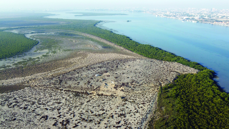 الاكتشافات المهمة تعيد تشكيل الفهم السائد حول الموقع الأثري. وام