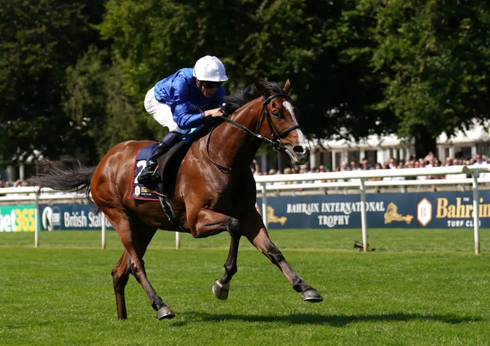 «إل كوردوبس» بشعار «غودولفين» يفوز بسباق «برينسيس أوف ويلز ستيكس» البريطاني