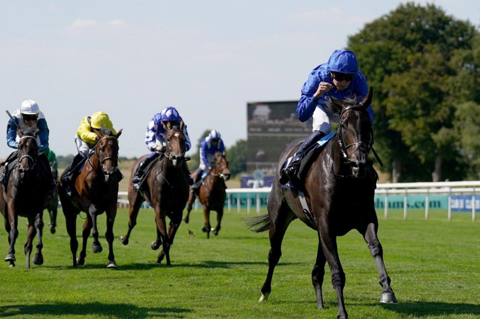 المهرة «سندريلاس دريم» بطلة سباق «فالموث ستيكس» البريطاني