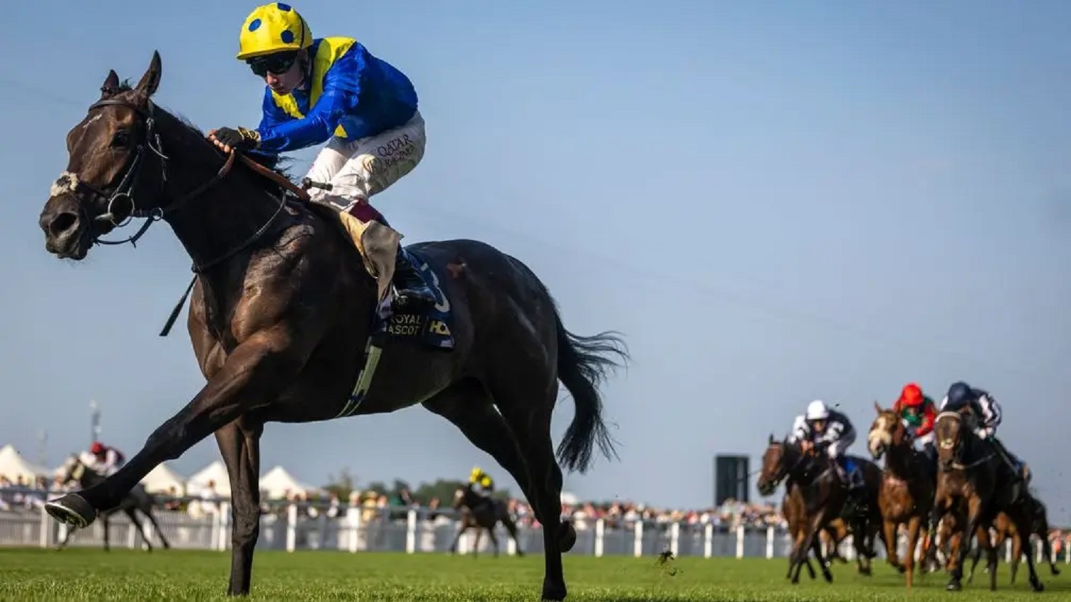 جياد الإمارات تتألق وتحصد 3 ألقاب في اليوم الختامي لمهرجان "جولاي كب"