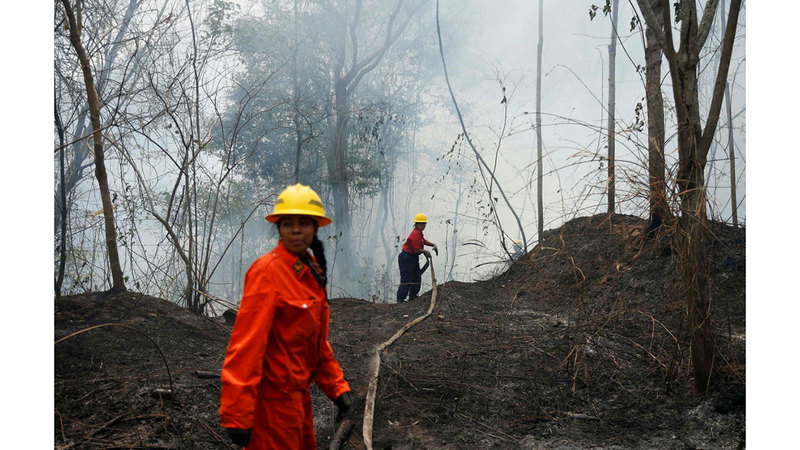 متطوعون يسهمون في إخماد النيران بغابات فنزويلا. رويترز