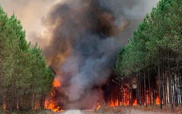الصورة: حريق غابات واسع النطاق يجتاح جنوب فرنسا
