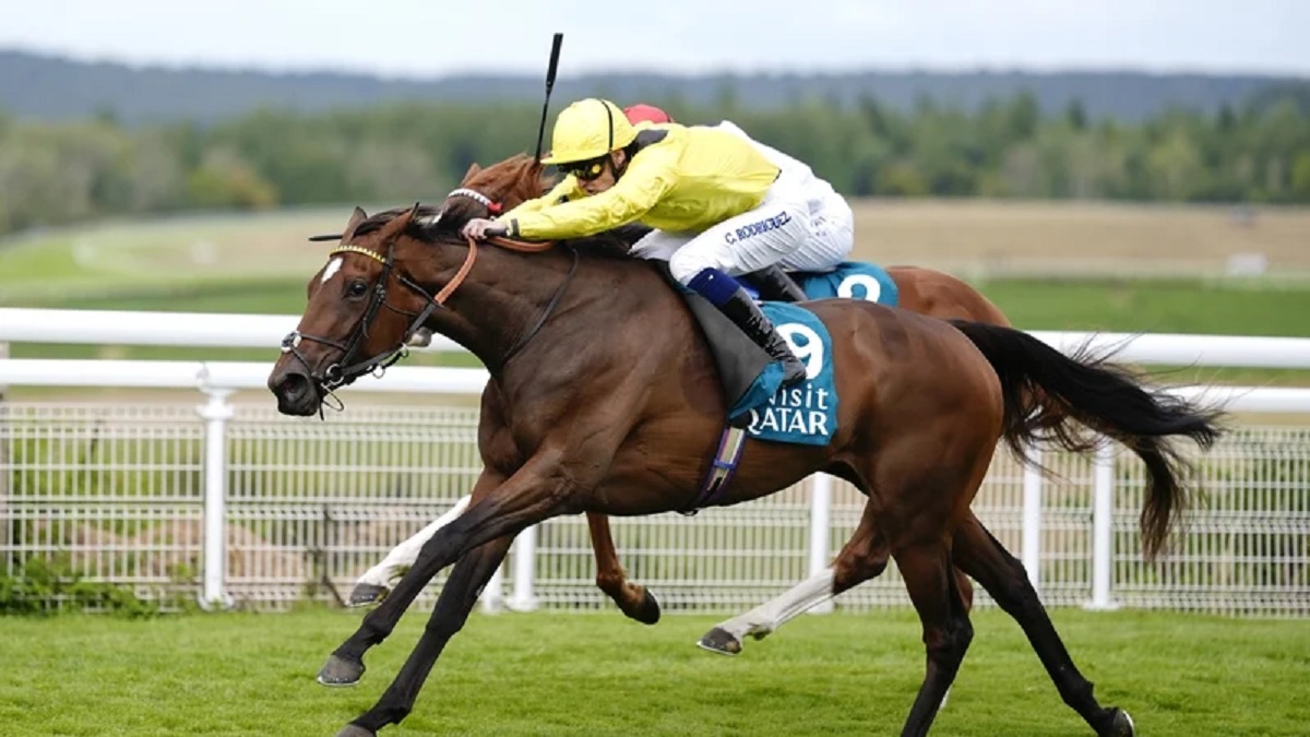 "هاتريك" لخيول الإمارات في ختام مهرجان "غودوود" البريطاني