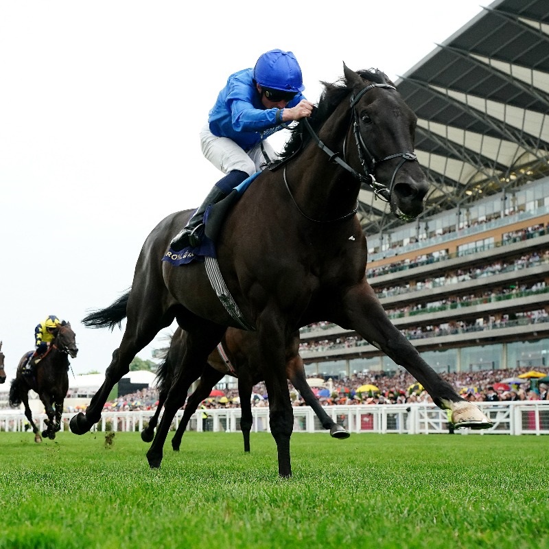 "ريبلز رومانس" ينتزع انتصاره الثاني في "برايس فون برلين" الألماني