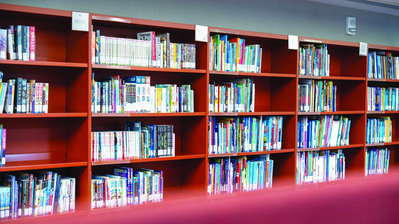 مؤلفات وإصدارات متنوّعة بلغات عدة على رفوف مكتبة الشباب. من المصدر