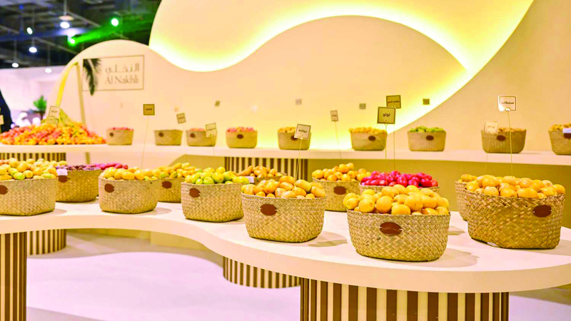 &laquo;دبي للرطب&raquo; التي ينظّمها مركز حمدان بن محمد لإحياء التراث استطاعت أن ترسّخ مكانتها. أرشيفية