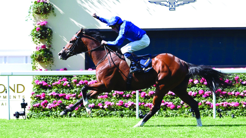 «أمبودسمان» يواجه تحدي الأقوياء اليوم