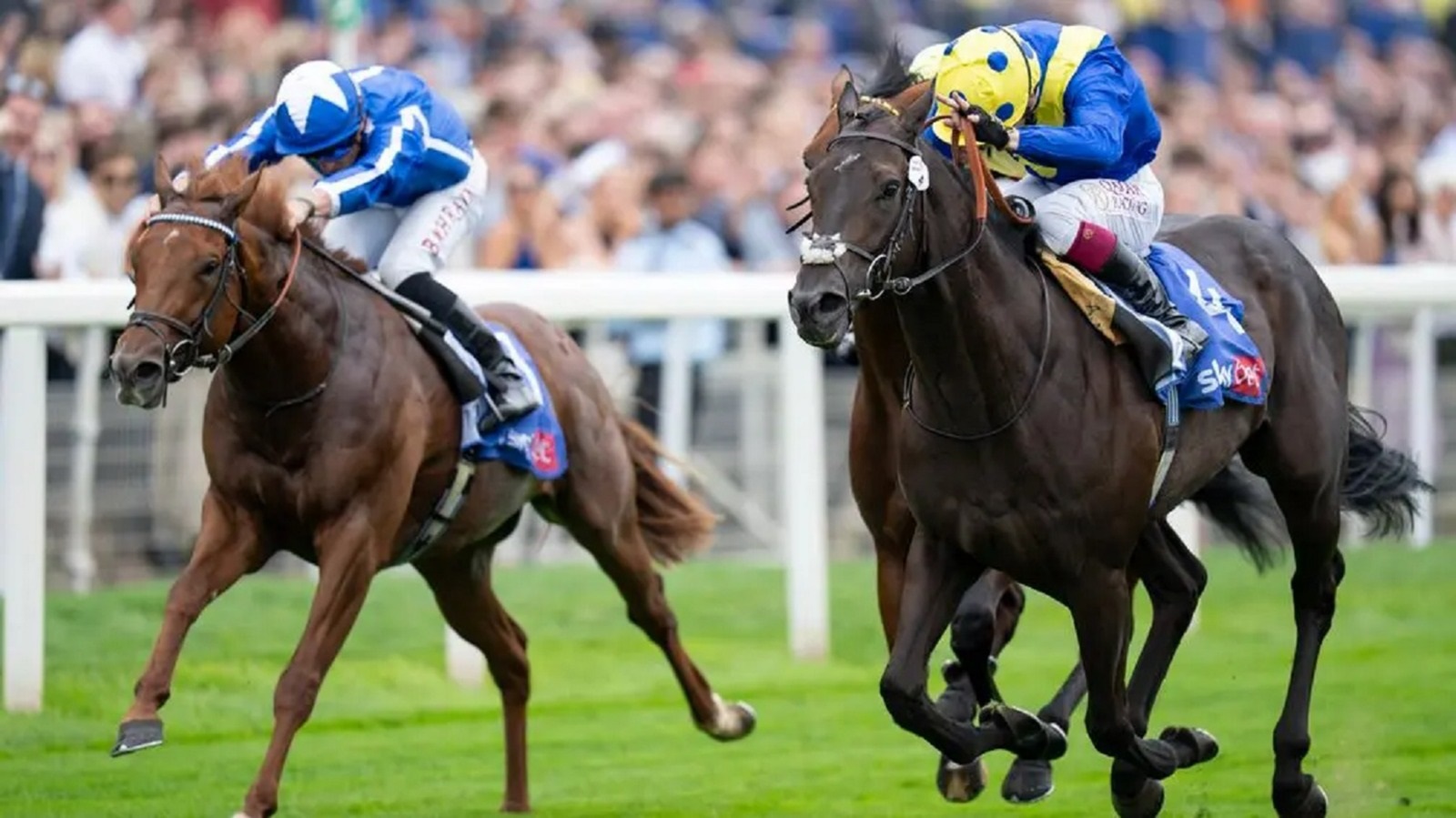 "نيفر سو بريف" يهدي الإمارات لقب "سيتي أوف يورك ستيكس" البريطاني